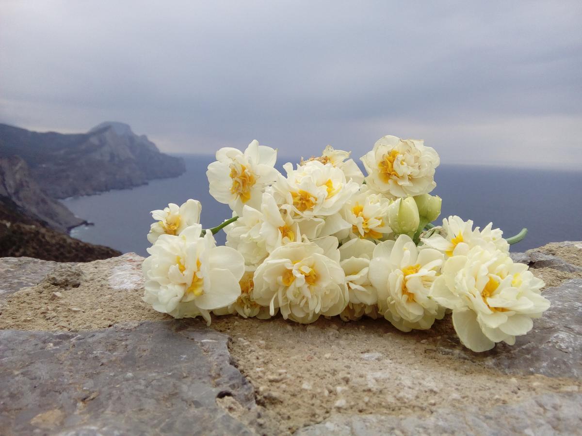 Olympos Archipelagos Ngoại thất bức ảnh